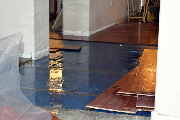 Professional Basement Flood Cleanup technician working in Reading, PA